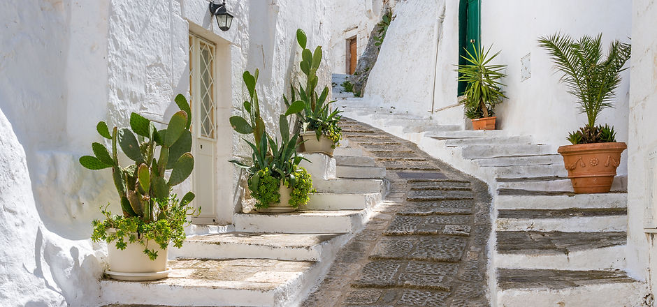 Path with Plants