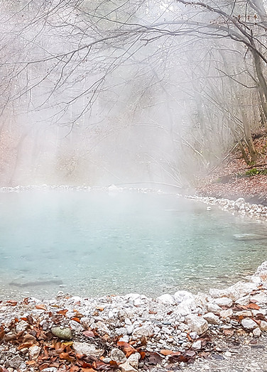 Hot spring in the forest