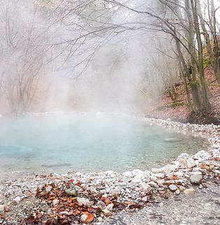 Hot spring in the forest