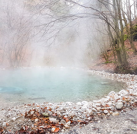 Hot spring in the forest