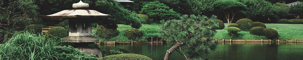 Scène sereine du jardin