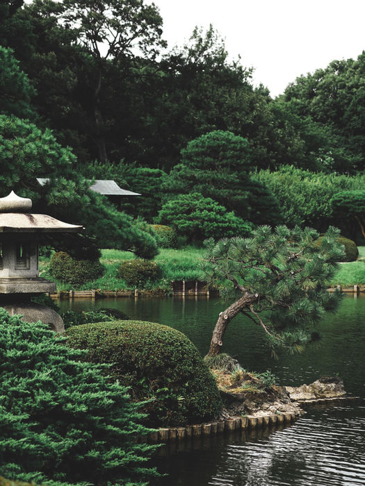 "Pranic Healing is a bridge to spirituality"