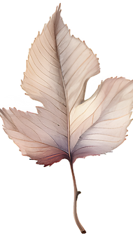 Detailed Leaf Illustration