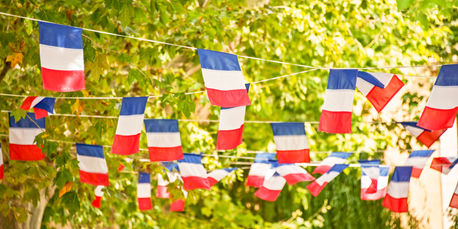 French Flags