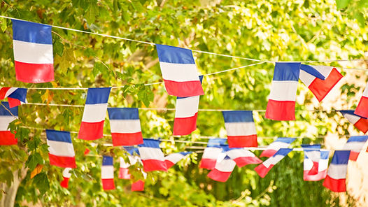 French Flags