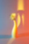 Flower In Vase