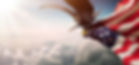 Eagle And US Flag