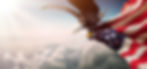 Eagle And US Flag