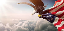 Eagle And US Flag