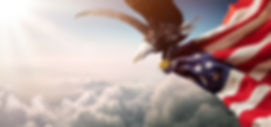 Eagle And US Flag