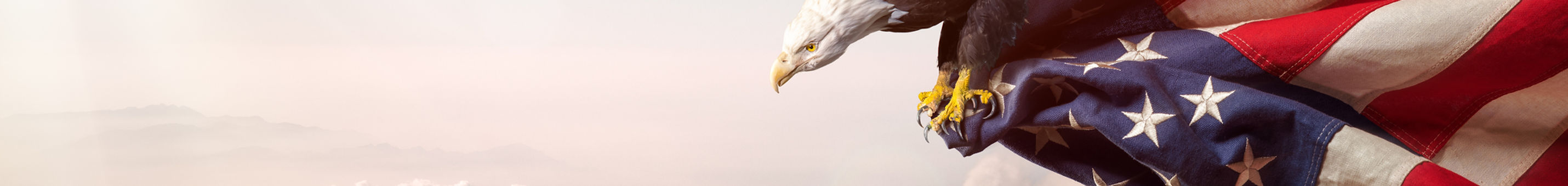 Eagle with American Flag