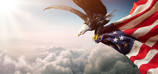Eagle And US Flag