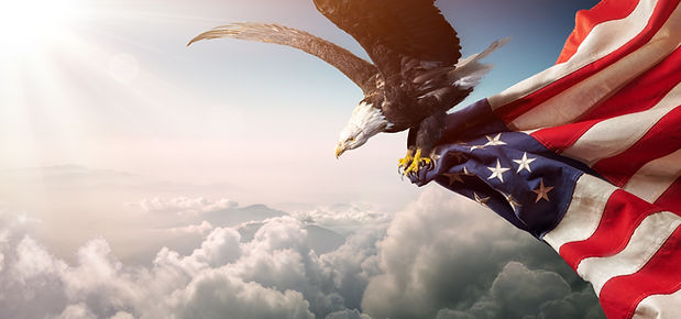 Eagle And US Flag