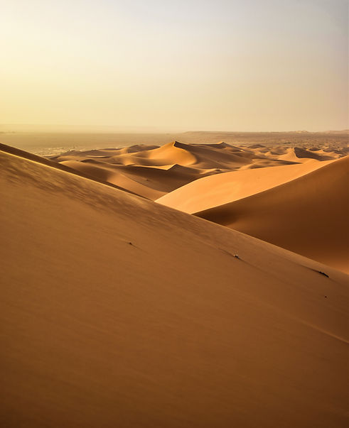 Dunes de sable