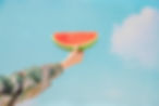 Wassermelone