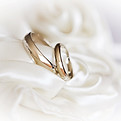 Wedding Rings on Fabric