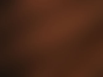 The Earth and the Skin