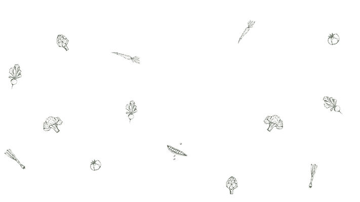 Illustrations Vegetables