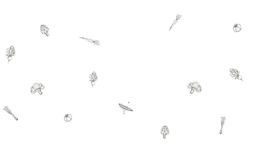 Illustrations Vegetables