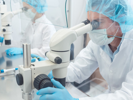 A method of large-scale biofilm cultivation in the laboratory