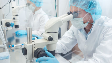 Vorsorgeuntersuchungen und Gesundheits-Check-up beim Hausarzt