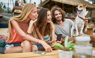 Der Hund ist der Freund des Menschen