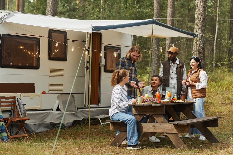 Outdoor Camping Picnic