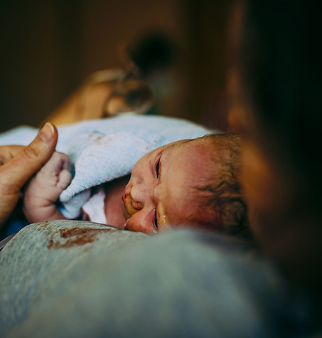 Newborn Baby Pinecrest, Florida
