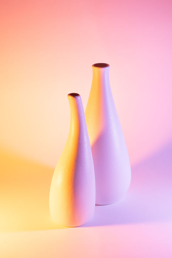 Two Vases