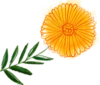 Plant Life