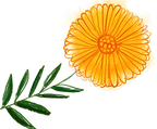 flor