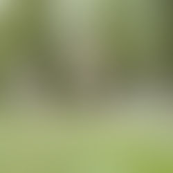 Bougez pour votre santé : ce que l'OMS nous enseigne sur l'activité physique