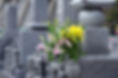仏花