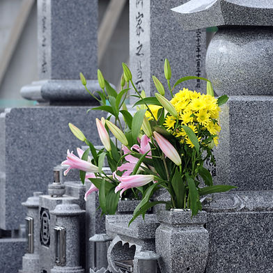 What damages are recoverable in a wrongful death case?