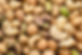 Mixed Nuts