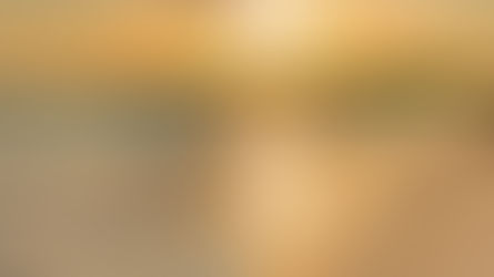 Scripture Reflection - August 31, 2025