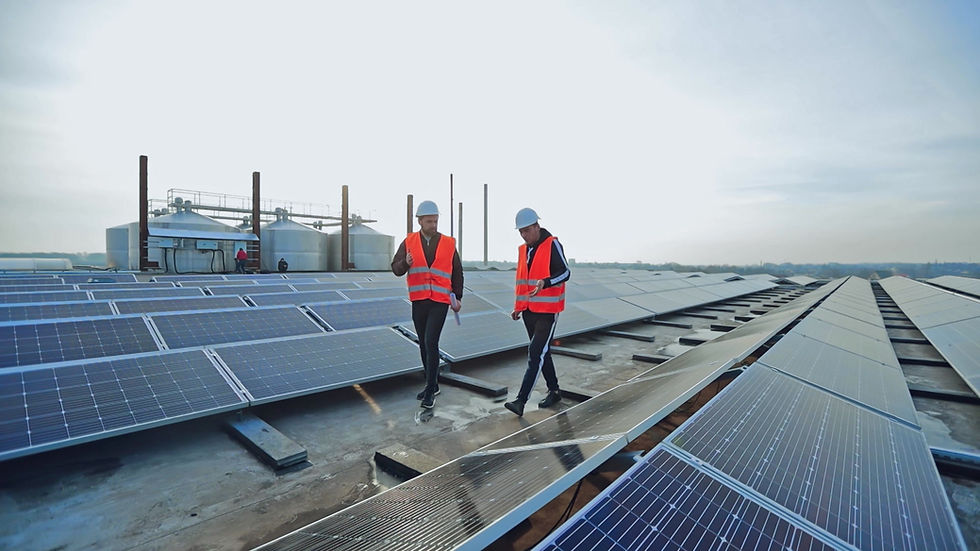 Inspección de paneles solares