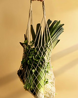Vegetables in Bag