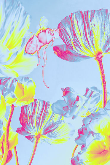 Vibrant Floral Illustration