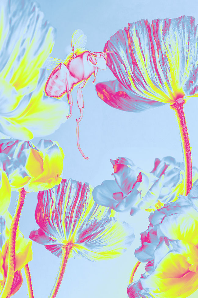 Vibrant Floral Illustration