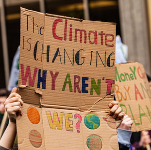 Overcoming the Fear Factor: How to Move Past Perceived Risks and Take Climate Action 