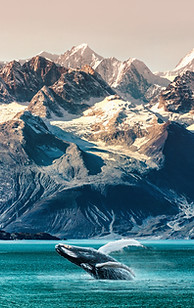 Ballena en paisaje montañoso