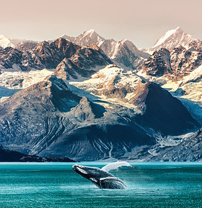 Whale and Mountains