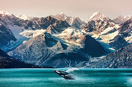 Whale and Mountains