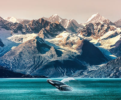 Ballenas y montañas