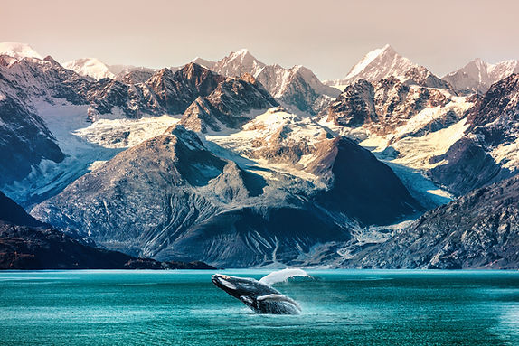 Whale and Mountains