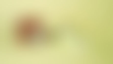 מערכת ניהול תורים לקוסמטיקאיות