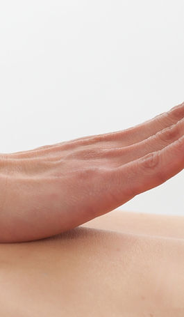 "Meredith is a wealth of knowledge. I have been a massage patient for decades and she is an excellent and intuitive practitioner. In the last 8 months I have been following a plan we created which includes supplements and a dietary plan. The goal was to reduce pharmaceutical drugs (my decision) and pain medications. In the last 8 months my inflammation has been reduced by more than 50% and my chronic pain reduced even further. My quality of life has improved exponentially and I couldn't be happier or more grateful. Thank you Meredith."