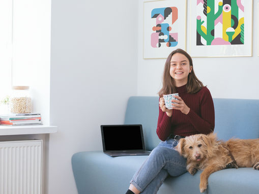 Ranking Caramelo revela onde os cães vivem melhor em São Paulo, aponta estudo da Fatec