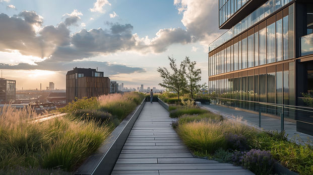 Modern Rooftop Garden